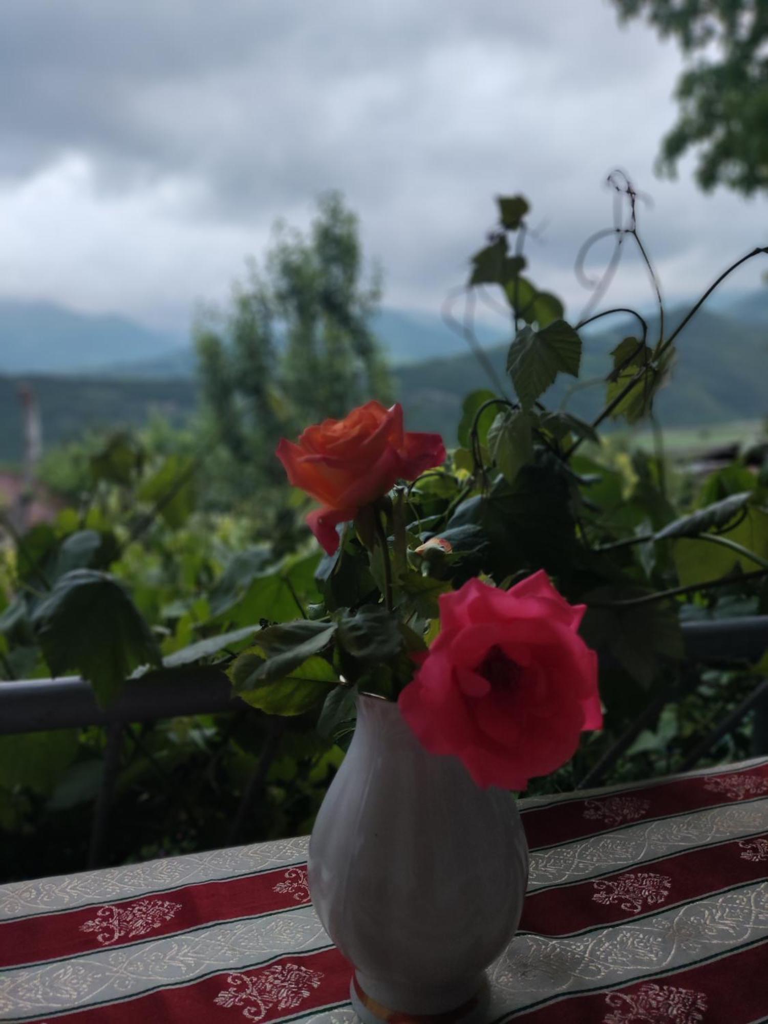 Отель Ануш Татев Номер фото